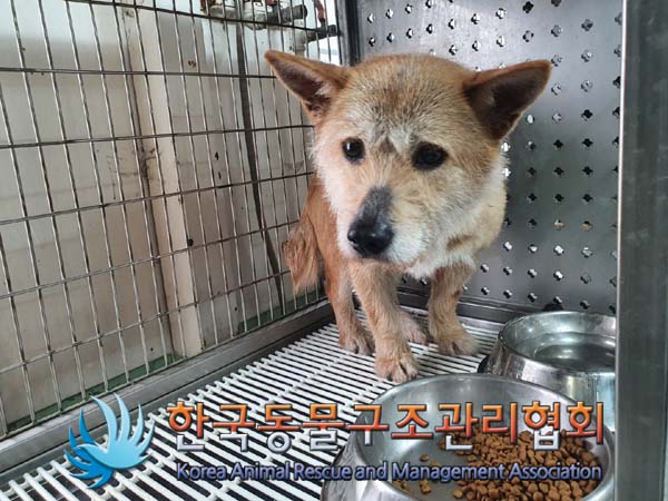 한국동물구조관리협회_411309202300076